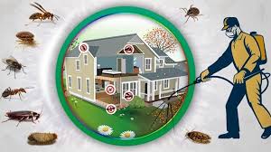 Technician inspecting a home for pests